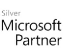 Silver Microsoft Support Partner Logo