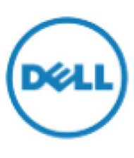 Dell Partner Logo