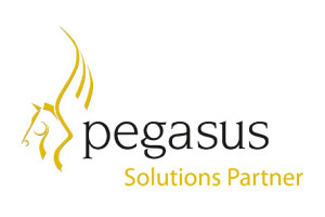 pegasus solutions partner logo