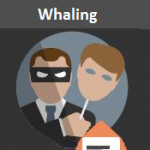 whaling-cyber-threat